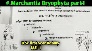 Marchantia Bryophyte part1  Morphology and Anatomy of Marchantia thallus  BSc 1st year Botany [upl. by Mulry]