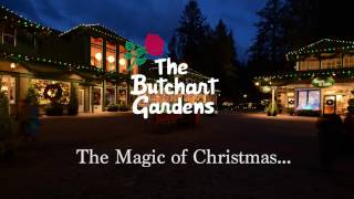 The Butchart Gardens Magic of Christmas [upl. by Munro]