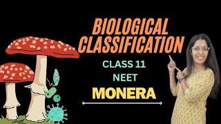 BIOLOGICAL CLASSIFICATION  CLASS 11 NEET  MONERA [upl. by Ilyse514]