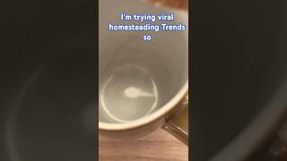 Im trying viral homestead in trends so you dont have to homestead healthyrecipes bonebroth ￼ [upl. by Annavoig]