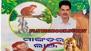 FLNBIGBOOKSTORYମାଙ୍କଡ଼ରଲାଞ୍ଜ [upl. by Alisun]