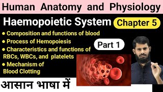 Haemopoietic system  HAP chapter 5  Process of Hemopoiesis  Mechanism of Blood Clotting [upl. by Atikahc]