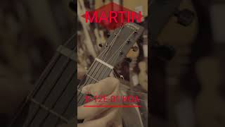 MARTIN D12E01 KOA [upl. by Atnauqahs956]