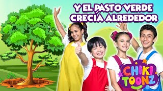 Y El Pasto Verde Crecía Alrededor  Canciones Infantiles  Vídeos para Niños ChikiToonz [upl. by Assenev375]