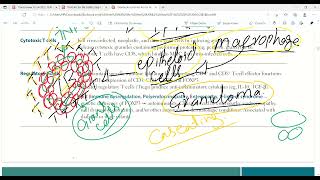 T cell activation and functionsTcell subsets Cellular componentImmunologyFirst Aid LecturesLec8 [upl. by Mcclenaghan]