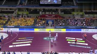 FRANCE VS SUÈDE Handball IHF World Championship QATAR 2015 [upl. by Aneram513]