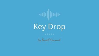 Key Drop  Sound Effect [upl. by Nabalas560]