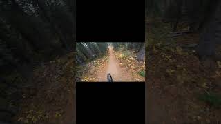 Blowdown Flowdown  Bighorn Ridge mtb [upl. by Frodine83]