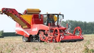 GRIMME TECTRON 415  selfpropelled Potato Harvester [upl. by Karyn]