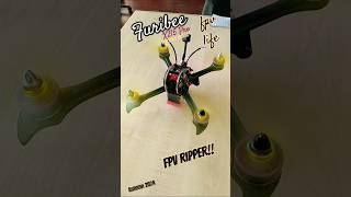 FPV RIPPER Furibee X215 Pro 2206 2600KV Brother Hobby Motors KAKUTE F4 DALPROP 5045 ROTORRIOT [upl. by Rayna]