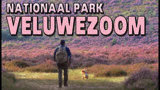 Nationaal Park Veluwezoom [upl. by Berkin707]