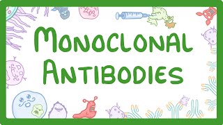 GCSE Biology  Monoclonal Antibodies 40 [upl. by Aihsatan]