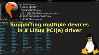 Supporting multiple devices in a Linux PCI Express driver [upl. by Olav]