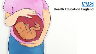 Perinatal and ParentInfant mental health eLearning [upl. by Gagne577]