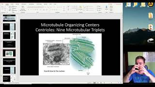 Histology of the Cytoskeleton and Epithelial Tissue part 1 [upl. by Bendicty60]