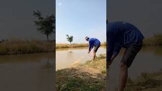 This Ancient Fishing Net Trick Catches More Fish Than Modern Methods [upl. by Isabeau601]