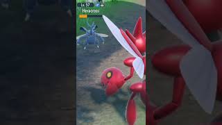 Scizor vs heracross [upl. by Moreland860]