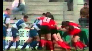 Toulon Bègles91 rugby mayol générale [upl. by Eisoj]