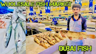 Wholesale Fish Market  Dubai Fish wholesalefish fish dailyvlog seafood [upl. by Susie]