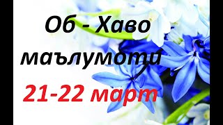 Ob  xavo malumoti 2122 mart  Об  хаво маълумоти 2122 март [upl. by Bethesde]