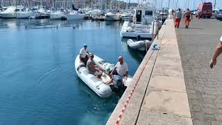 Balenottera morta a Muggia tecnici al lavoro a Porto San Rocco [upl. by Lorac45]