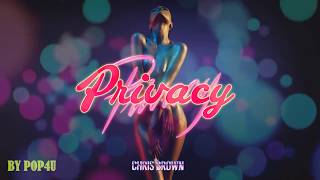 Chris Brown Privacy Lyrics [upl. by Akimet]