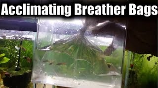 How To Acclimate A Breather Bag  Acclimating Aquarium Fish [upl. by Atisor]