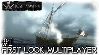 Blackwake  First Look  EP1  Lets Play Blackwake Gameplay [upl. by Kciredohr653]