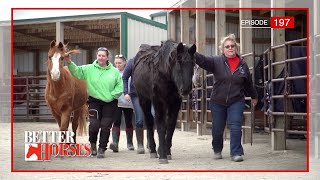 Better Horses Episode 197 Scott Rystrom NexGen Cattle Company Craig Cameron Rainbow Meadows [upl. by Vish]