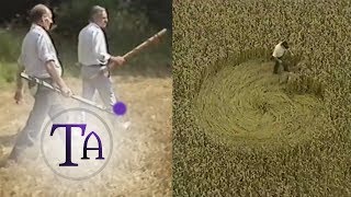 Debunking the Bower amp Chorley Story why Crop Circles arent all Hoaxes [upl. by Fanestil]