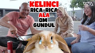 SEDAPNYA Masak Kelinci RicaRica Ala Om Gundul [upl. by Mihalco]