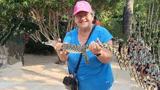 Crocosaurus Cove Darwin [upl. by Sarene]