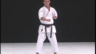 seipai karate kata amp bunkai [upl. by Berfield]