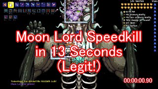 Terraria  Moon Lord Speedkill in 13 seconds [upl. by Julianne]