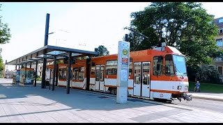 Straßenbahn und Busverkehr in Cottbus [upl. by Haral]