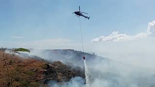 Incendie dans la Savane de Plateau CaillouEperon [upl. by Elyac]