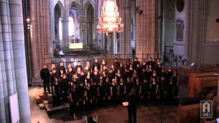 Augustana Choir  Shenandoah [upl. by Ahsirtap]