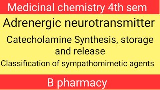 Adrenergic neurotransmitter  Synthesis storage and release of catecholamine  med chem 4th sem [upl. by Akirdnahs]