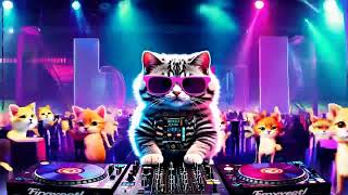 🎧🐱 DJ Kitten Fart ZenithApex [upl. by Shayla]