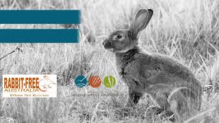 Rabbit Free Australia RampD Forum  The Future of Nationally Coordinated Biocontrol [upl. by Ellard452]