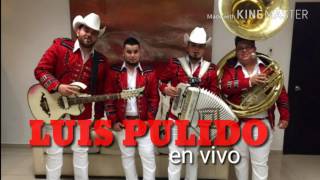 🚨Los de Sonora 🚨CORRIDO LUIS PULIDO🚨 [upl. by Otis]