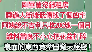 剛畢業沒錢租房，睡過大街後低價找了個凶宅，阿姨說不吉利只收200塊一個月，不料當晚不小心把花盆打碎，裏面的東西竟牽出驚天秘密！【顧亞男】【高光女主】【爽文】【情感】 [upl. by Reviere]