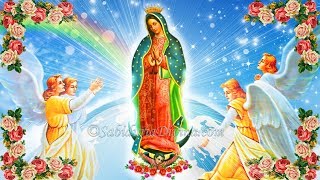 LA GUADALUPANA tradicional [upl. by Airdnas]