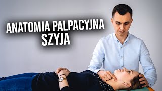 Anatomia palpacyjna Szyja [upl. by Burlie511]