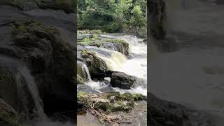 Cenarth Falls listen with the sound on 👍 [upl. by Arihas32]