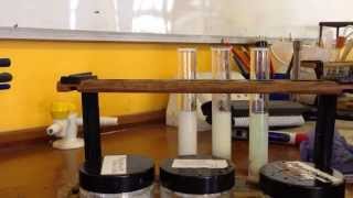 AQA Required Practical  identifying ions Test for Halide Ions [upl. by Anotyal]