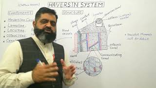 Haversian system Urdu  Hindi medium profmasoodfuzail Components of Haversian system [upl. by Cordy287]