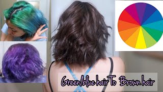 GETTING RID OF GREENBLUE HAIR WITHOUT BLEACH BLUE TO BROWN HAIR [upl. by Maltzman]