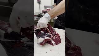 Removing the Deer Femur Bone 🔪🦌 shorts deer venison butcher [upl. by Hayifas]