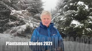 Plantsmans Diaries 2021Bringing you up to date [upl. by Watters872]